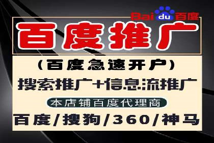 某电商平台信息流竞价策略及成效分析